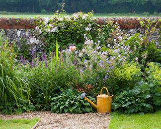 herbacious border in walled garden
