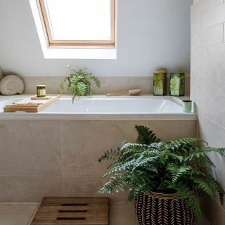 attic bathroom with bathtub and potted plant