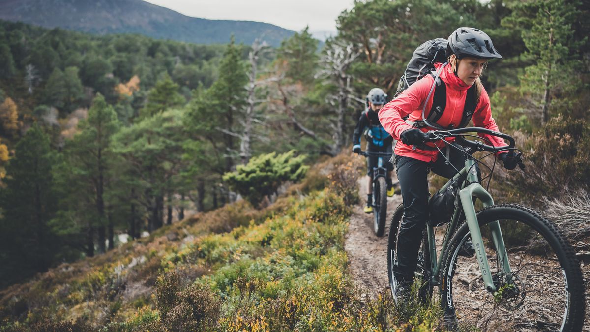 Mountain bikers riding in forest of Scotland