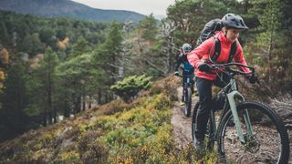 Mountain bikers riding in forest of Scotland