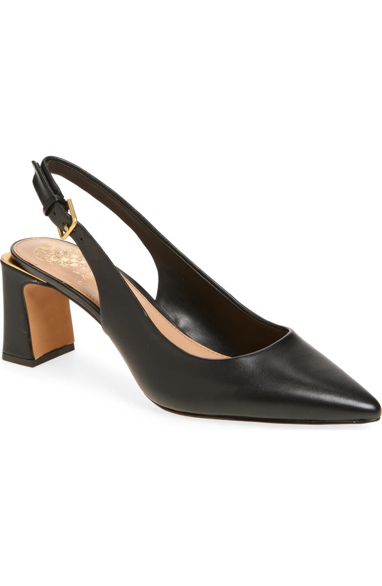 Hamden Pointed Toe Slingback Pump