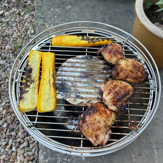 Testing the LotusGrill portable BBQ outside
