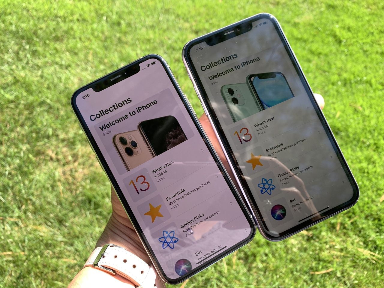 iPhone 11 vs iPhone 11 Pro display