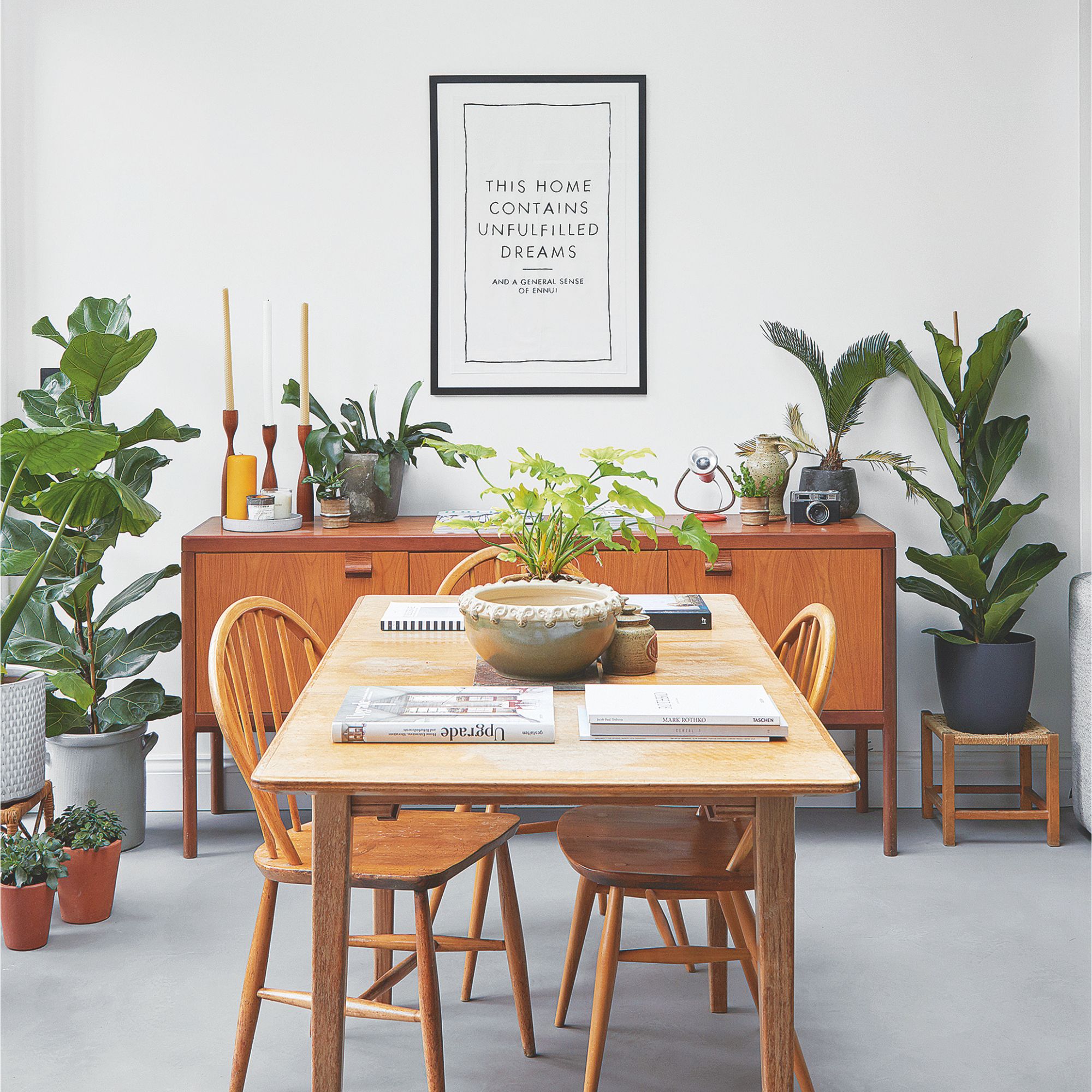 Polished concrete flooring in dining area, with contrasting wooden dining table and chairs and side board, with tall plants either side