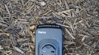 Hammerhead Karoo