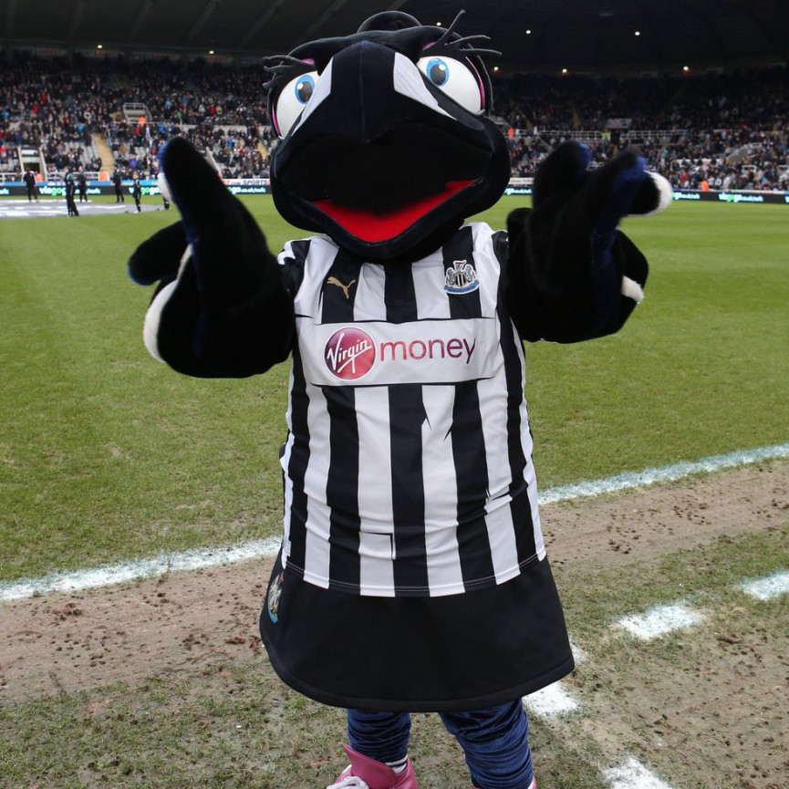 this-seasons-premier-league-mascots-ranked-4-1556679151-S8hU-column-width-inline