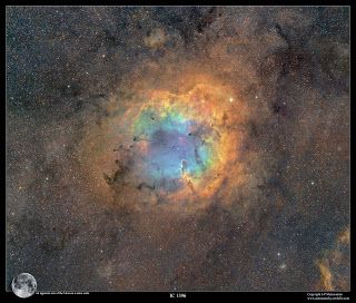 IC 1396, as imaged by J-P Metsavainio.
