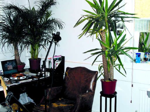 No, it's not Plant Idol; this mic is recording the room ambience.