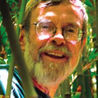 David Burney's avatar