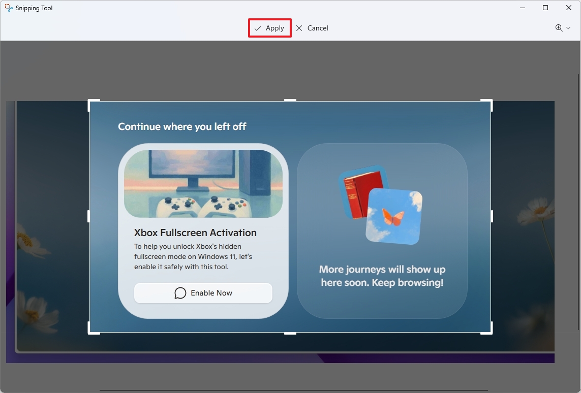 Snipping Tool apply cropping