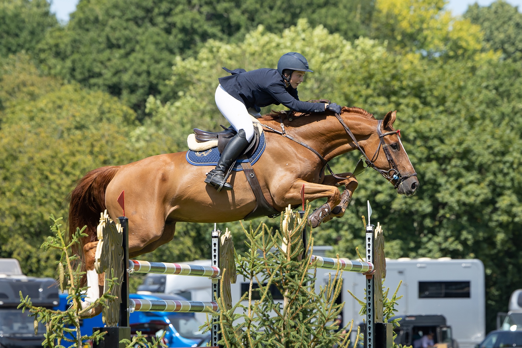 Ella Dalton and Ultimo NZ clear an oxer