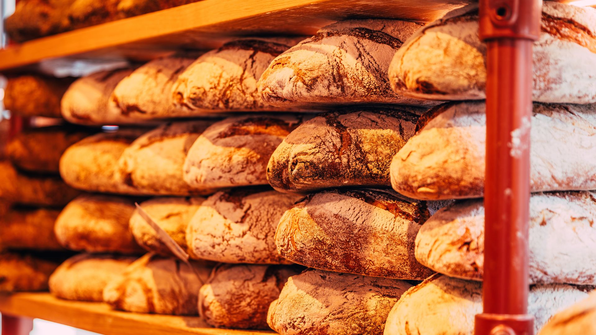 Freshly made artisanal bread for sale at the bakery in the morning, close-up
