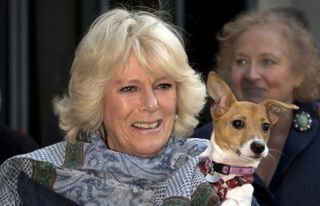 Camilla, Duchess of Cornwall, carries her dog Bluebell as she arrives at the Battersea Dogs & Cats Home in London on December 12, 2012