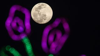the full moon behind neon lights in the shape of flowers