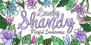 Shandy BF balances a lively look with a professional finish