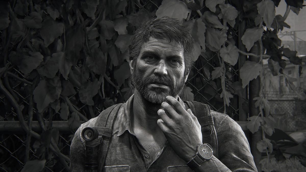 The Last of Us Part I Photo mode examples