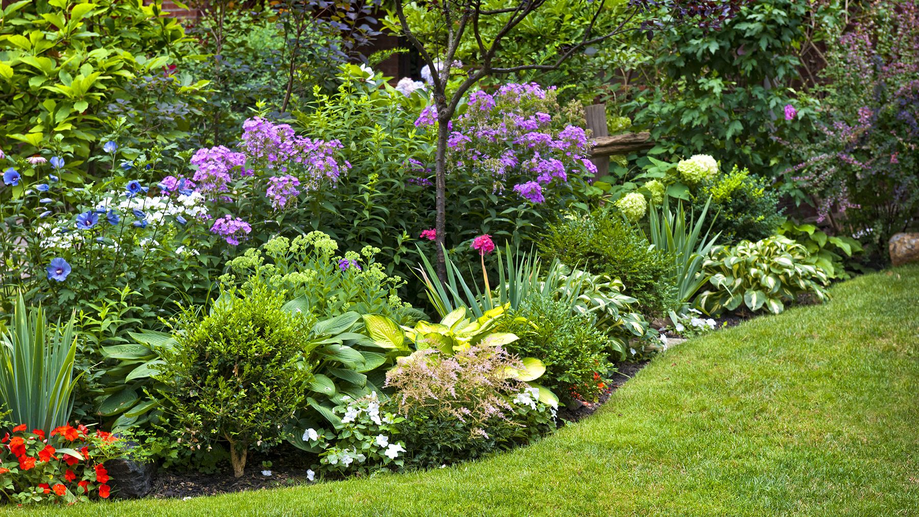 Don’t make this one gardening mistake — it could stop your plants from thriving