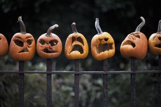 pumpkins on a fence
