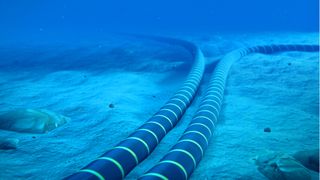 submarine web cable