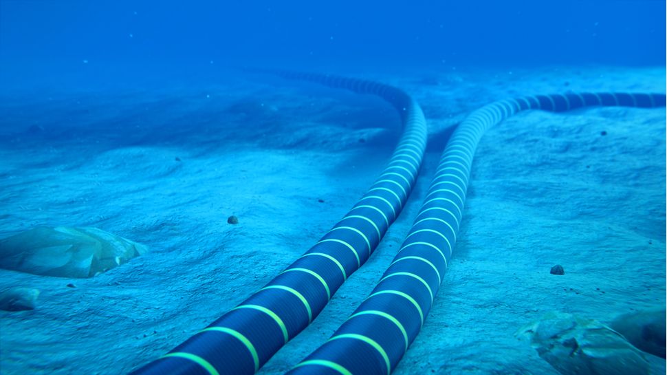 submarine web cable