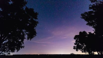 big dipper stars in the sky with trees in the foreground
