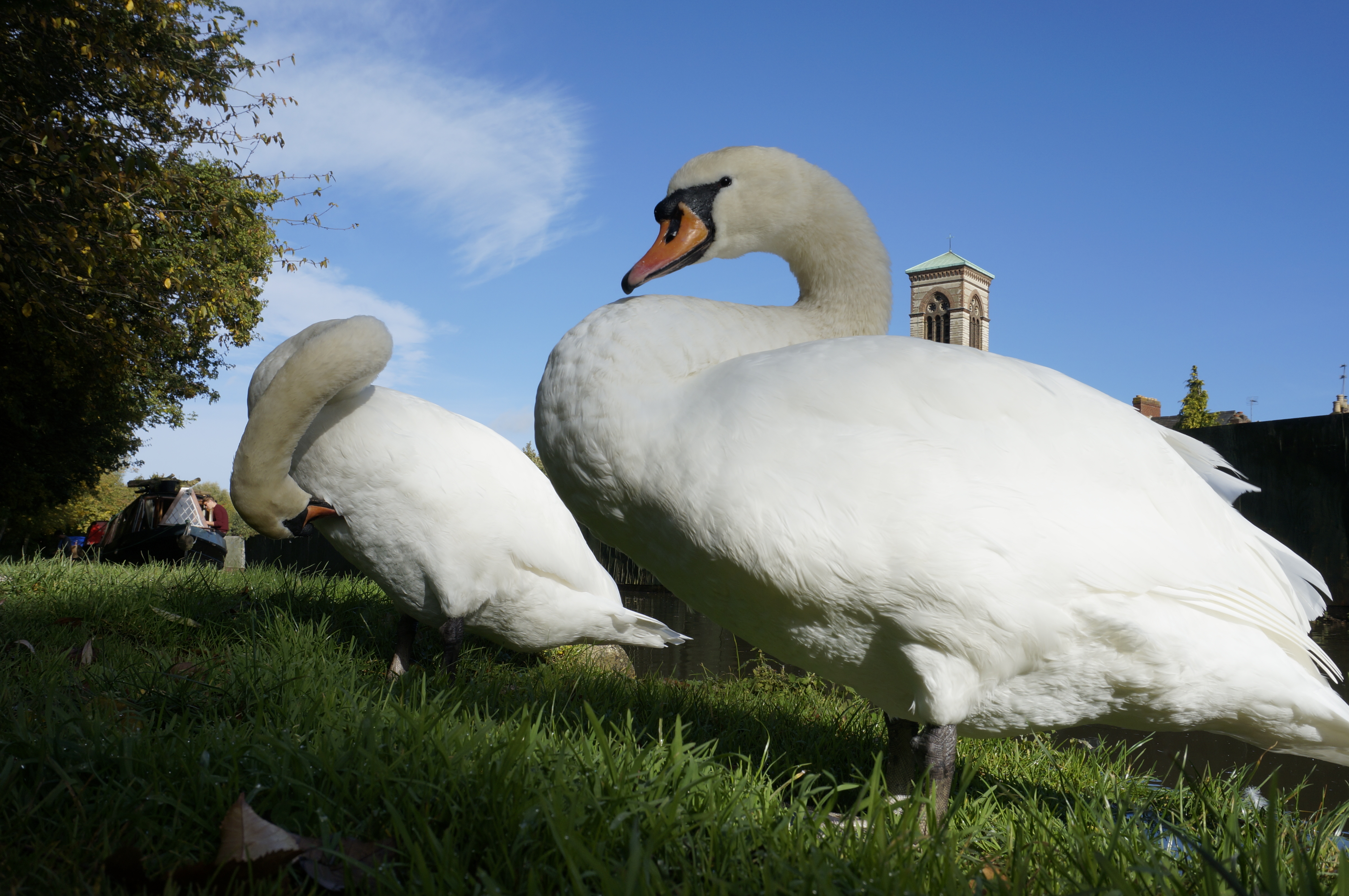 Sony NEX-6 review