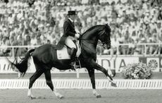 matador028.jpg
