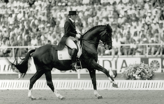 matador028.jpg