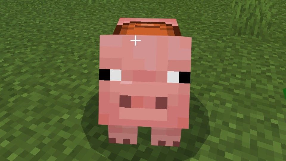 how to tame minecraft pig