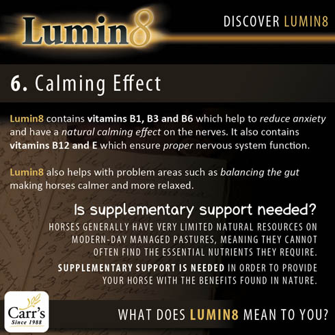 Lumin-8.jpg