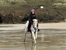 Beach-work-Fant.jpg