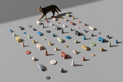 A cat walks around an eight by eight grid of ornaments laid out on the floor. 