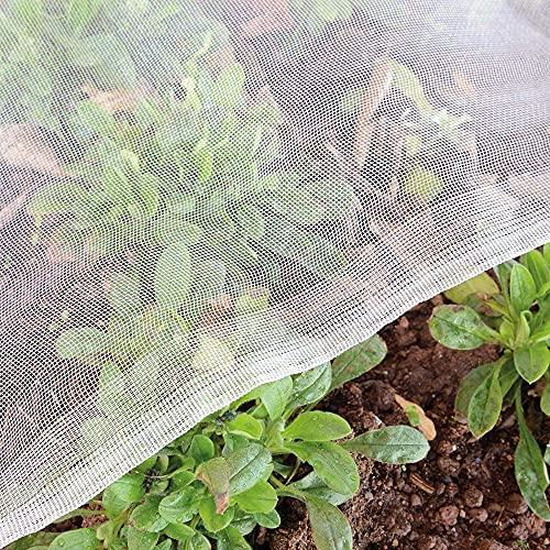 Garden Insect Netting Fine Mesh: 2x5m Vegetable Protection Net Butterfly Netting for Plant Fruit Carrot Fly Crop Protect Anti Bug Pest Silver