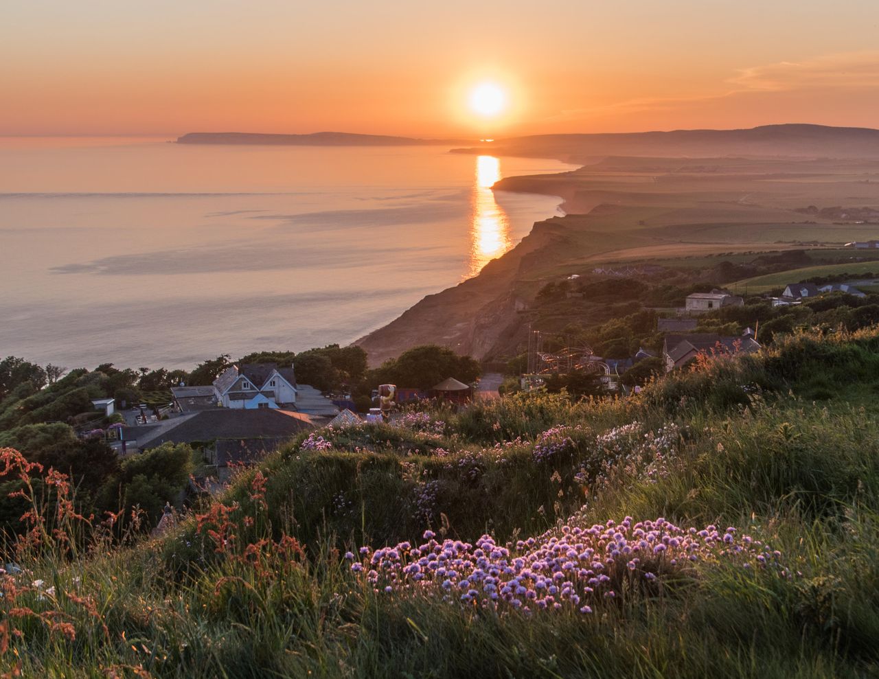 Sea Pinks at sunset on the cliffs above Blackgang, Isle of Wight.