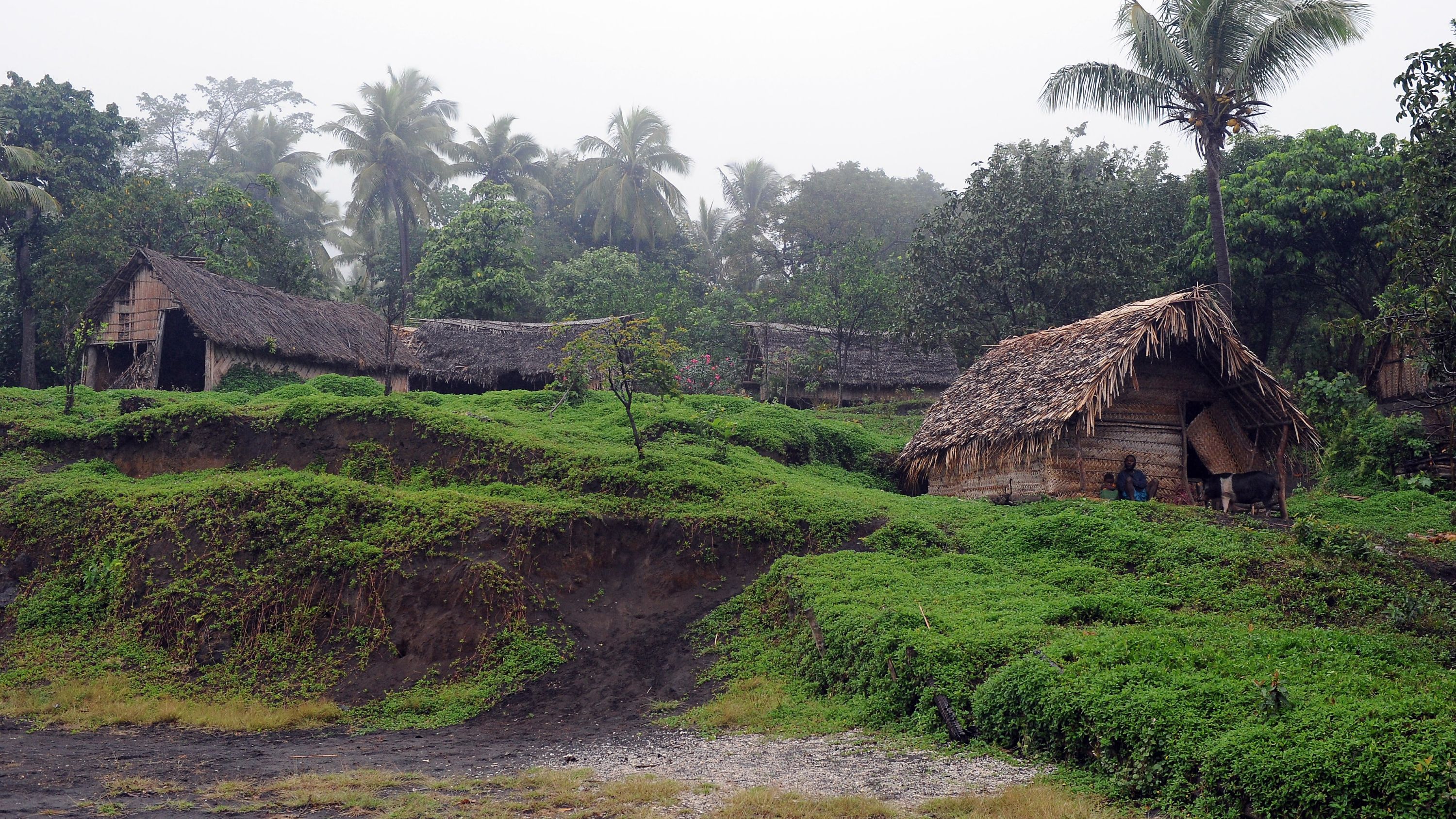 a village with palm trees on a hill