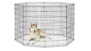 New World Pet Products Foldable Metal Exercise Pen X-Large dog playpen