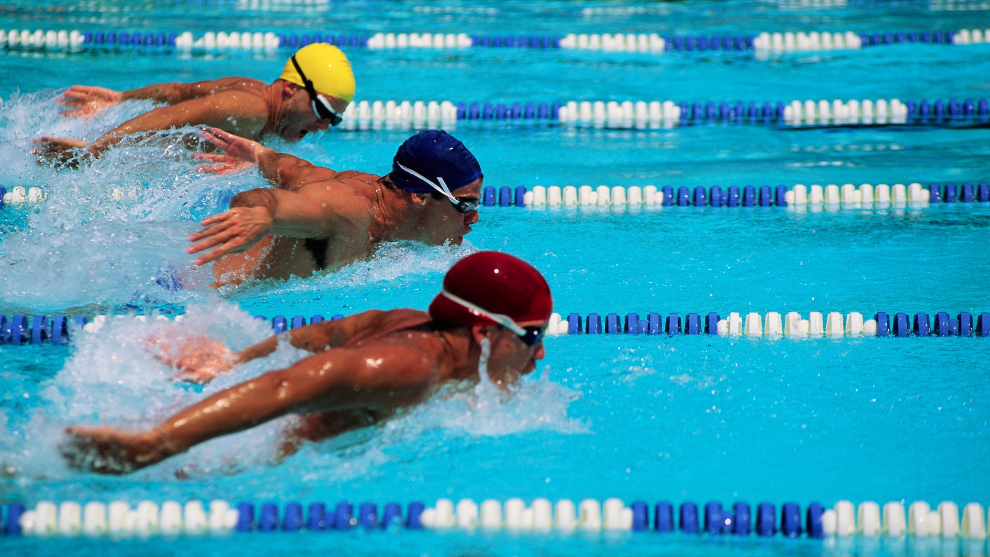 Swimmers Competing in Race