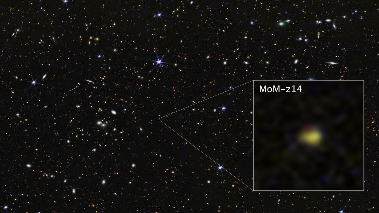‘Previously unimaginable’: James Webb telescope breaks its own record again, discovering farthest known galaxy in the universe ‘Previously unimaginable’: James Webb telescope breaks its own record again, discovering farthest known galaxy in the universe