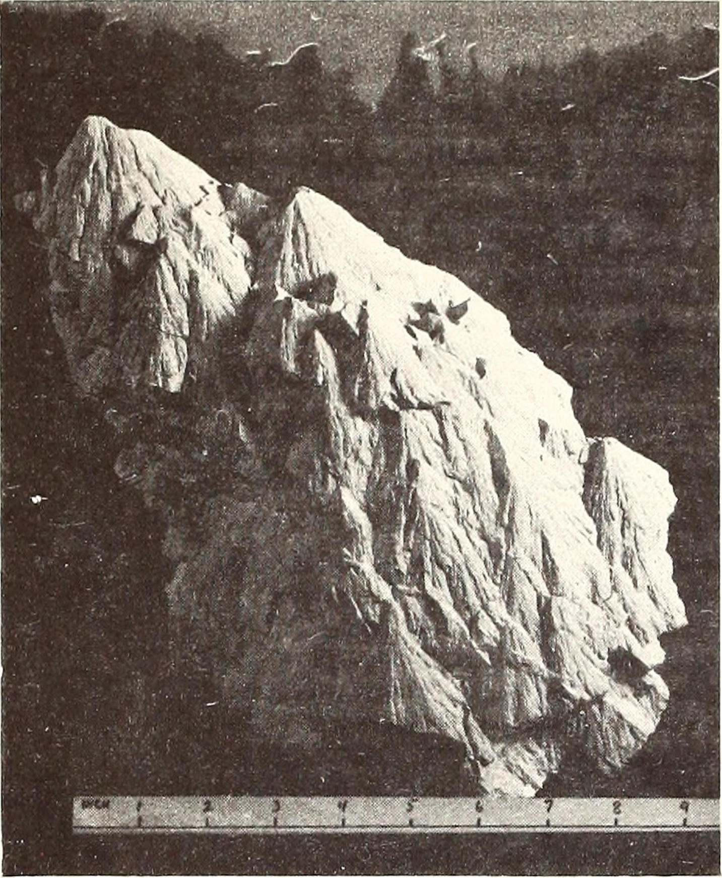 Black-and-white image of a shatter cone with a measuring stick.