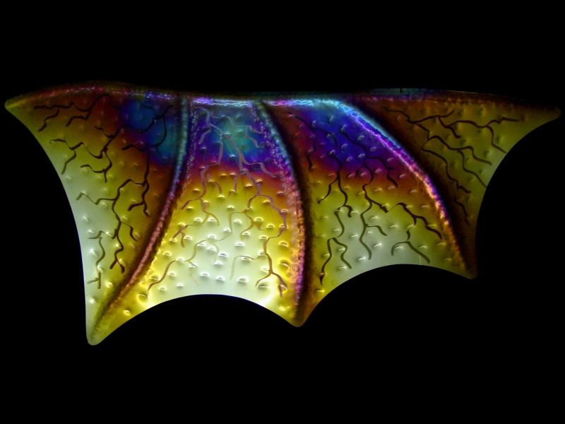 Bat wing