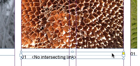 text move frame