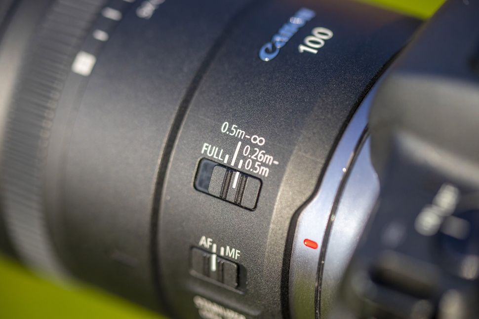 Canon RF 100mm Macro tips – master all the features of Canon's clever ...