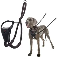 Halti No-Pull Harness | Amazon.co.uk Halti No-Pull Harness | Amazon.co.uk