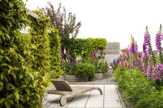 Rooftop terrace designed by Adolfo Harrison