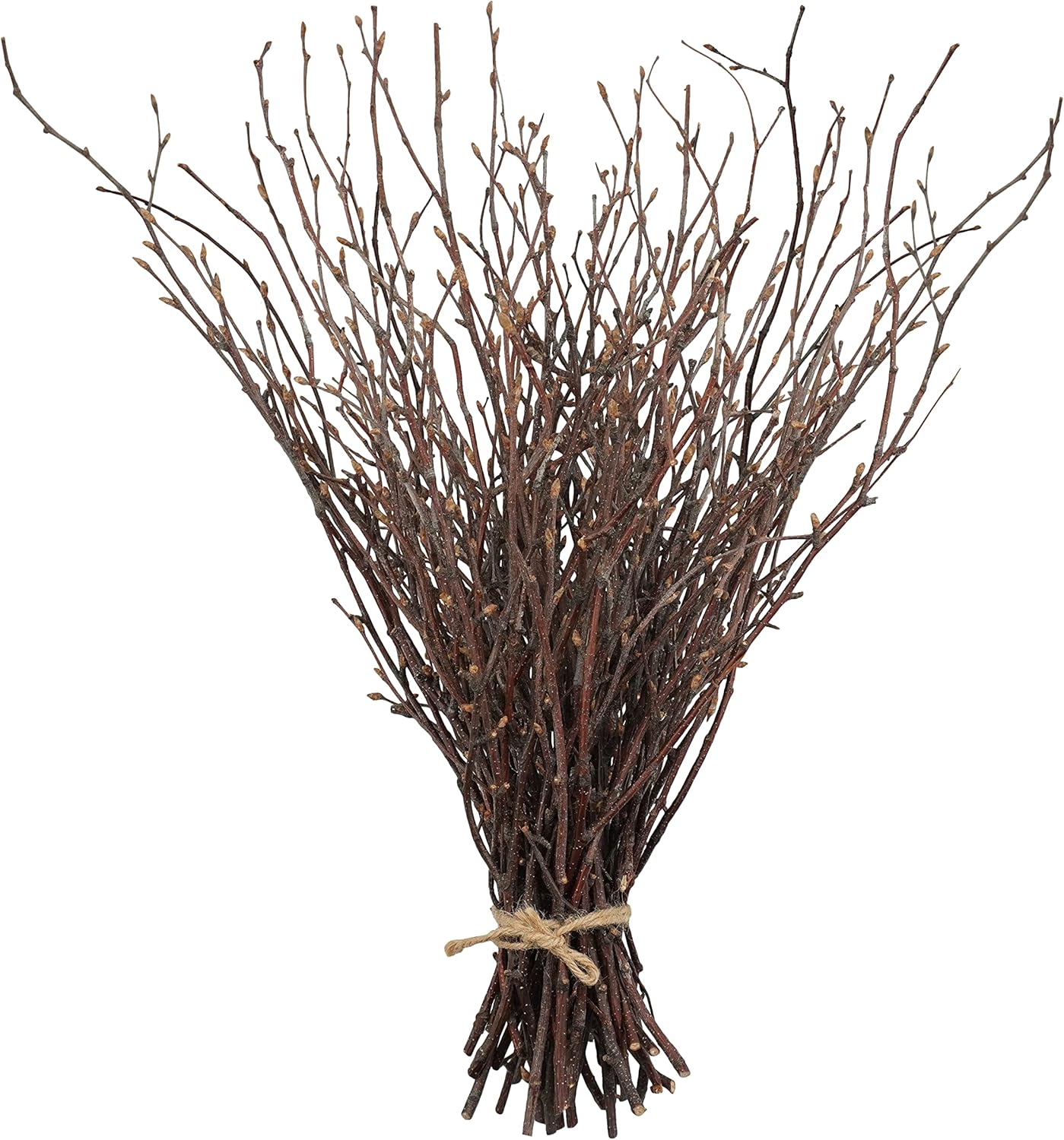 Birch Twigs, 50 Pieces