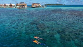 Go diving and snorkelling in the warm waters of the Indian Ocean