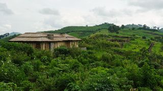 Kibale Lodge