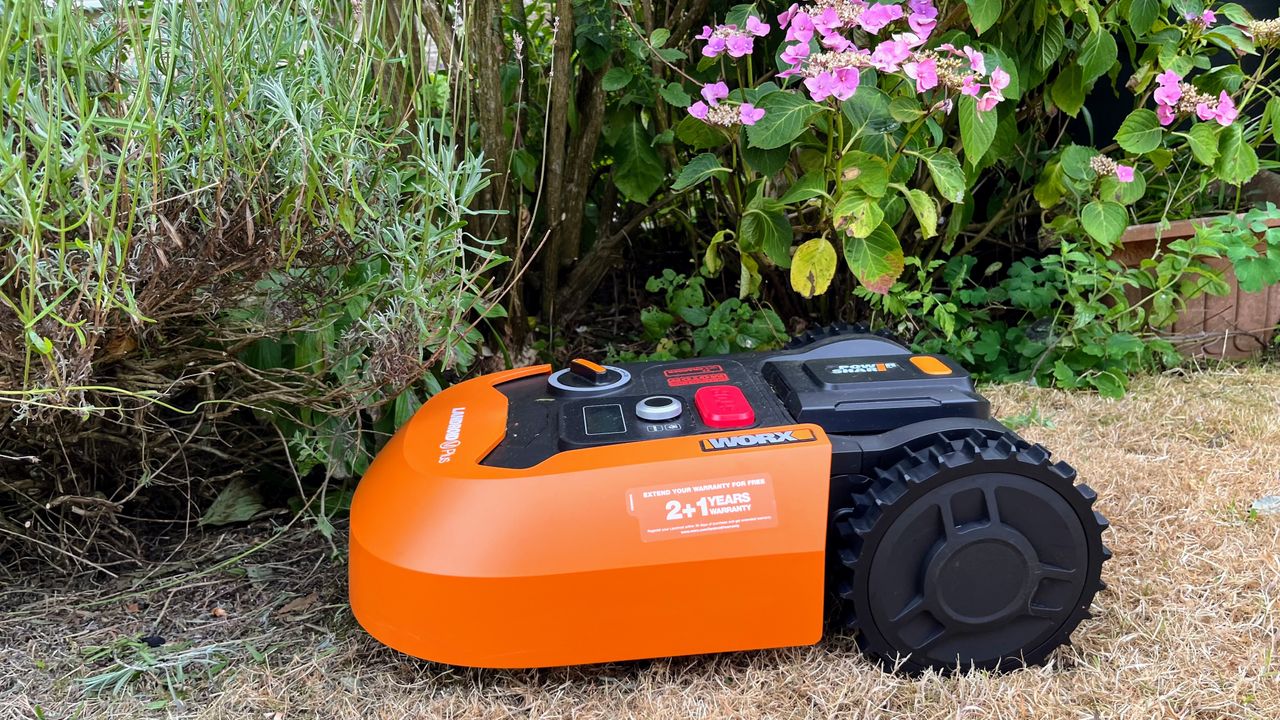 Worx WR165 20-Volt 7 in. 2.0 Ah Robotic Landroid Mower being tested in writer's yard