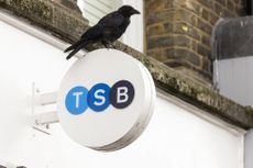 A crow sits on top of a TSB sign (image: Jason Alden/Bloomberg via Getty Images)