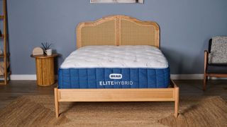 Bear Elite Hybrid mattress on rattan bedframe in sleep studio with blue wall with round wooden bedside table with sunrise alarm clock and mug on top